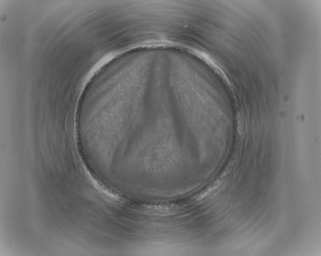 X0000075411229200609291658