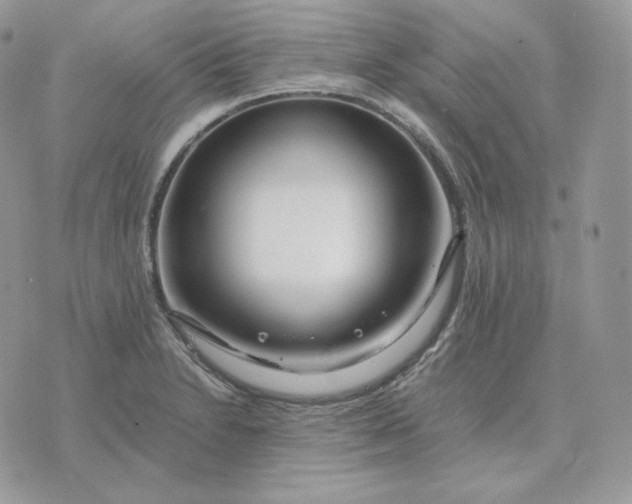 X0000075411230200609291658