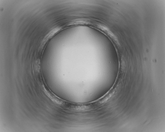 X0000075411233200609291658