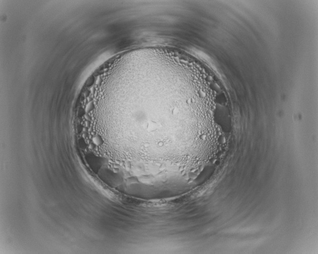 X0000075411235200609291658