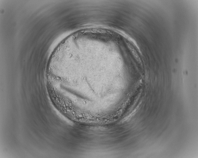 X0000075411239200609291658