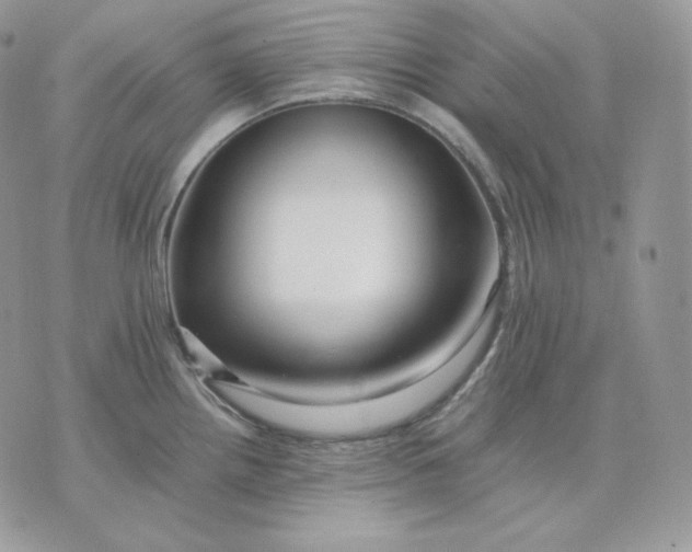 X0000075411242200609291658