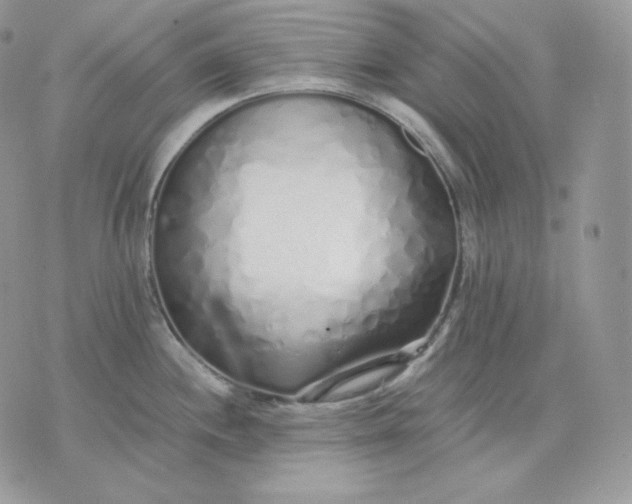 X0000075411244200609291658