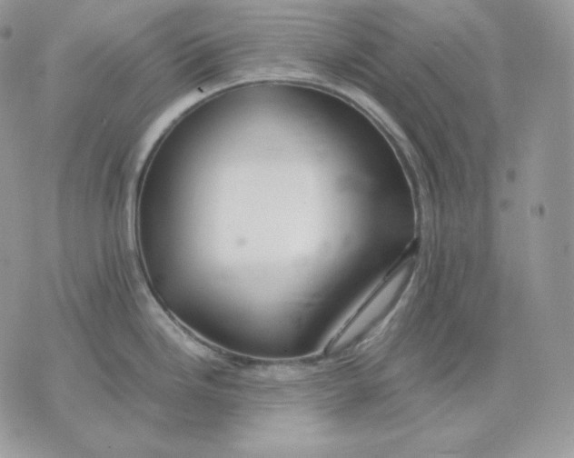 X0000075411246200609291658