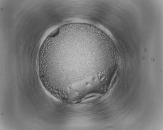 X0000075411247200609291658