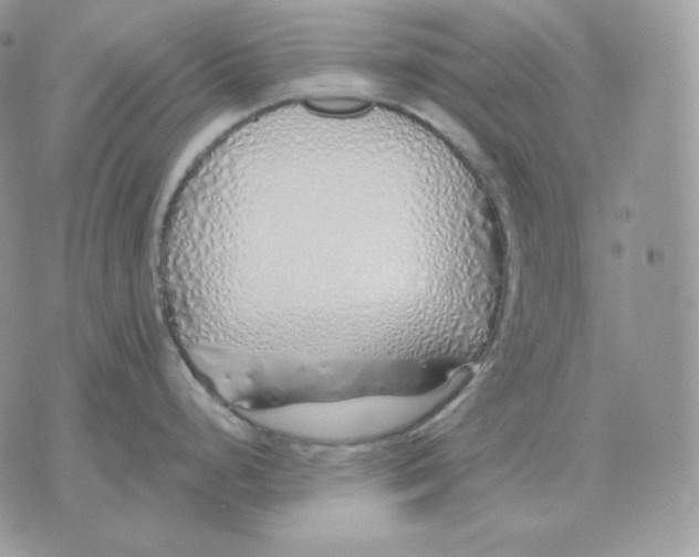 X0000075411248200609291658