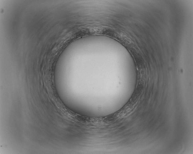 X0000075411249200609291657