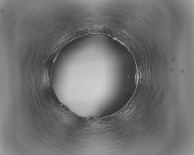 X0000075411252200609291657