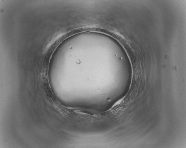 X0000075411255200609291657