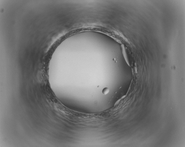 X0000075411256200609291657