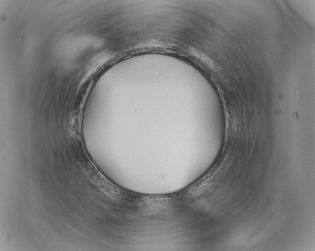 X0000075411258200609291657