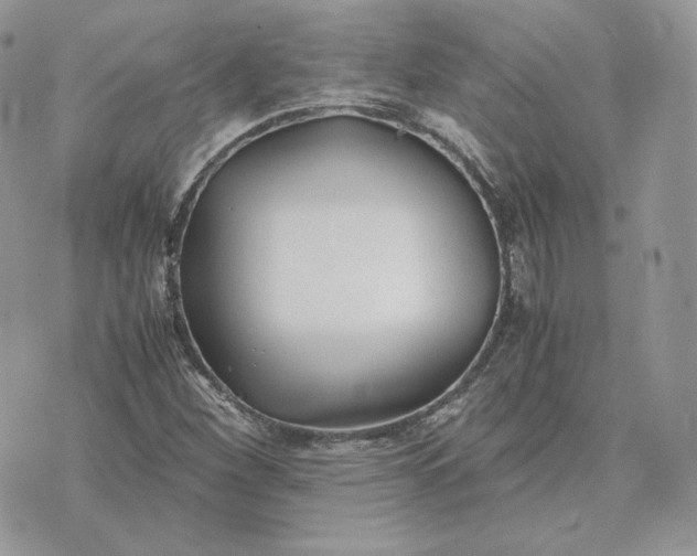 X0000075411260200609291657