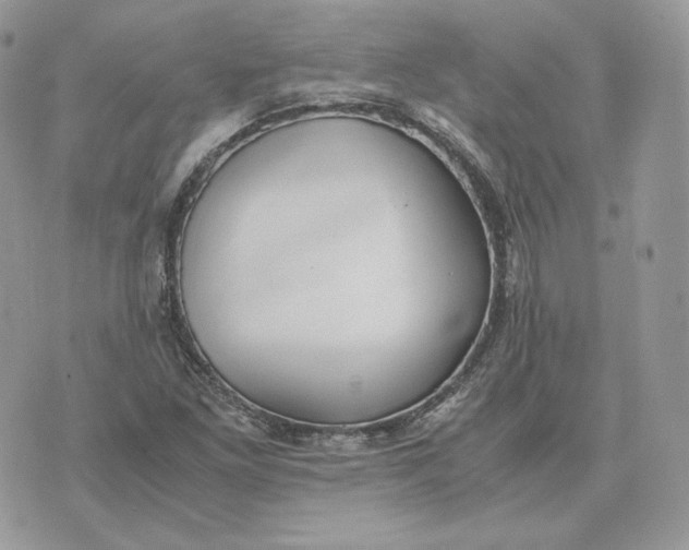 X0000075411261200609291657