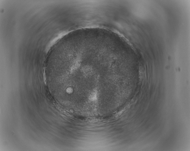 X0000075411262200609291657