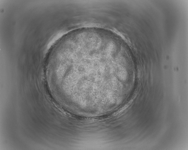 X0000075411263200609291657