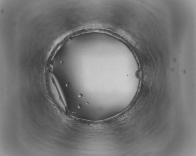 X0000075411264200609291657