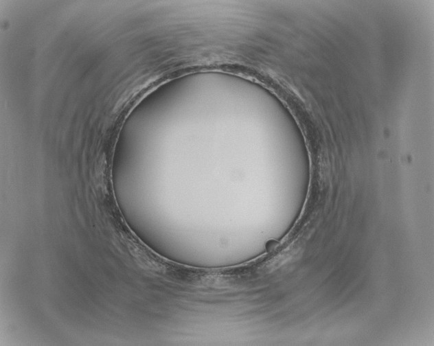 X0000075411265200609291657