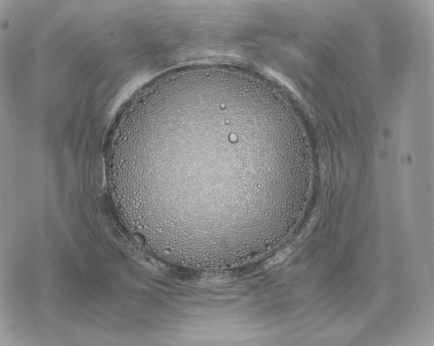 X0000075411267200609291657