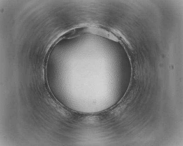 X0000075411268200609291657