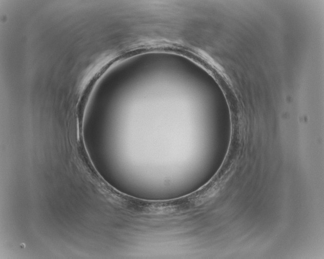 X0000075411269200609291657