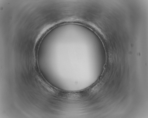 X0000075411270200609291657