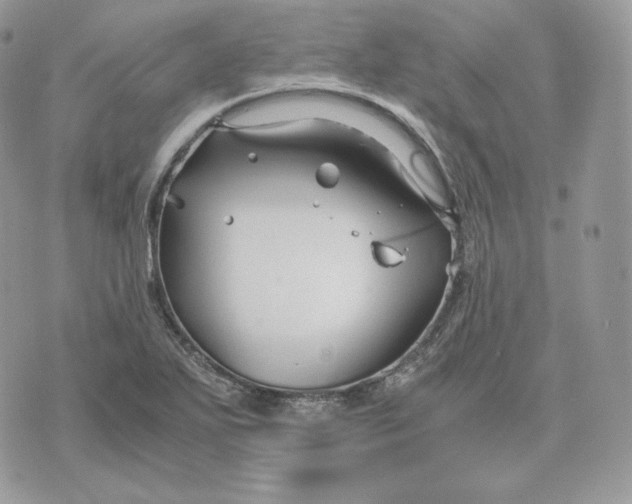 X0000075411271200609291657