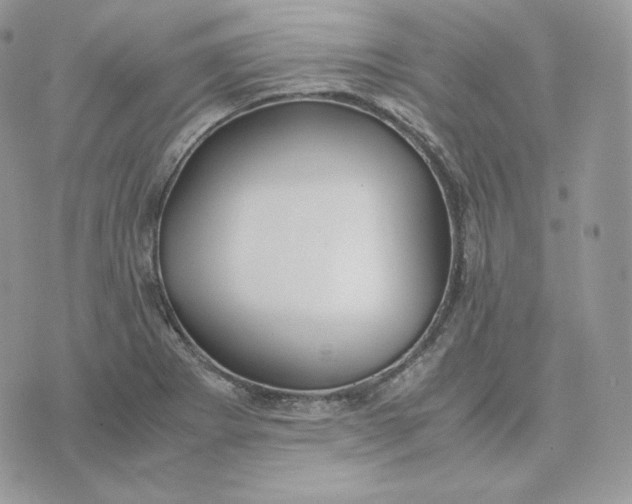 X0000075411273200609291657