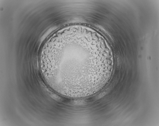 X0000075411274200609291657