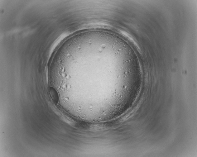 X0000075411275200609291657