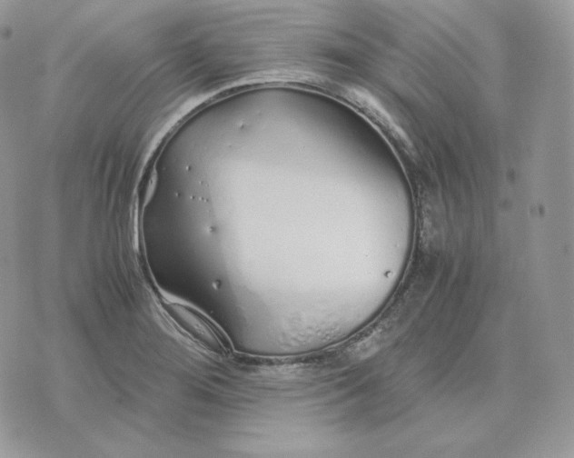 X0000075411276200609291657