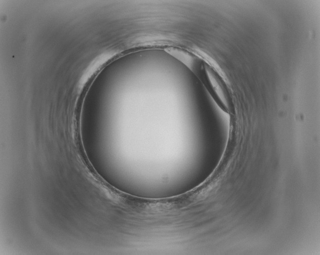 X0000075411277200609291657