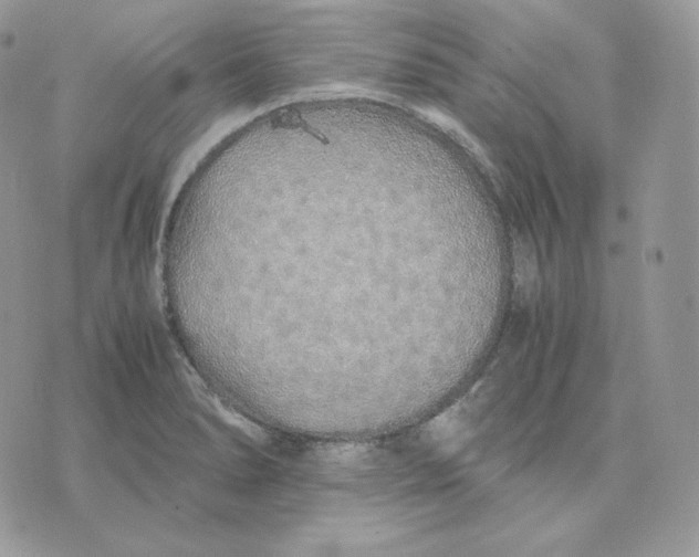 X0000075411278200609291657