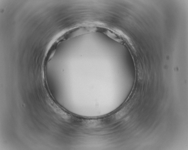 X0000075411280200609291657