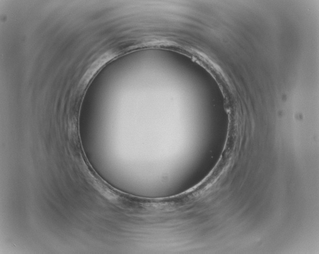 X0000075411281200609291657