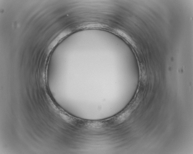 X0000075411282200609291657