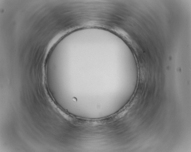 X0000075411286200609291657