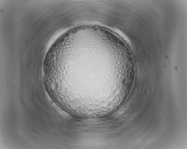 X0000075411287200609291657