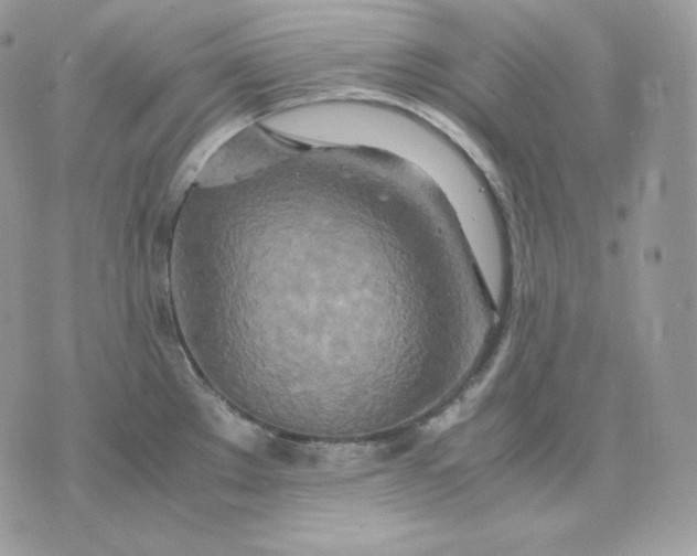 X0000075411289200609291657