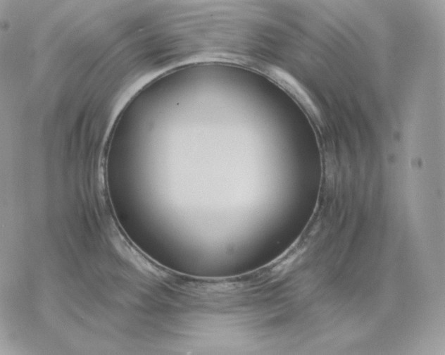 X0000075411292200609291657