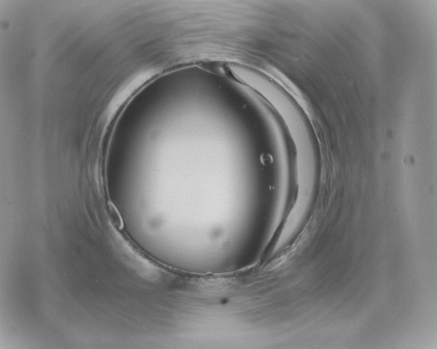 X0000075411293200609291657