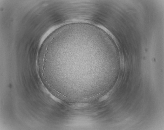 X0000075411294200609291657