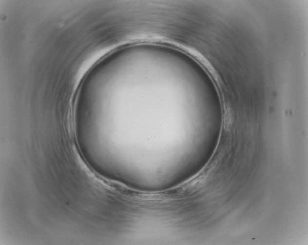 X0000075411295200609291657