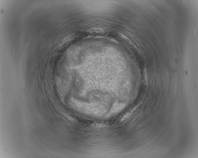 X0000075411297200609291656