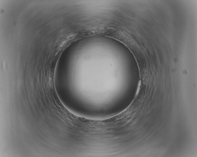 X0000075411298200609291656