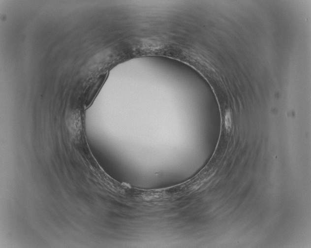 X0000075411299200609291656