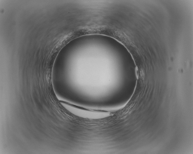 X0000075411300200609291656