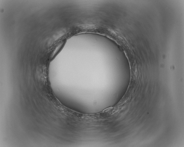 X0000075411301200609291656