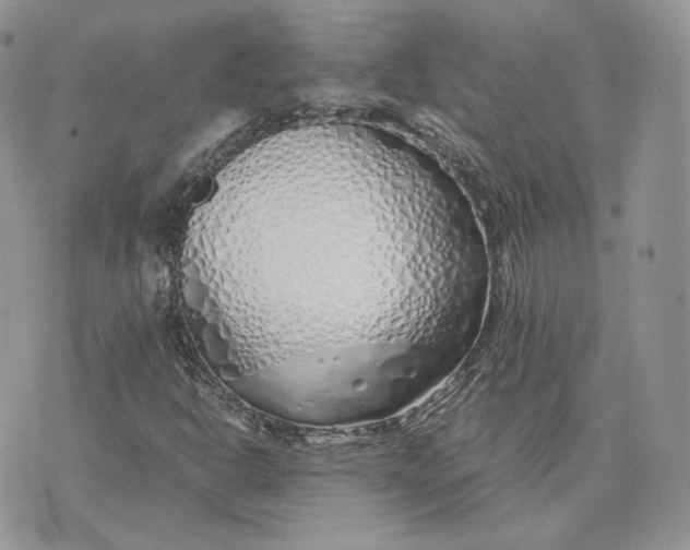 X0000075411302200609291656