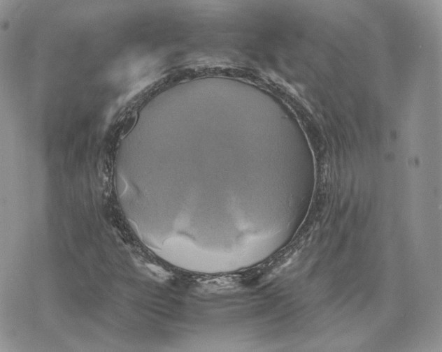 X0000075411303200609291656