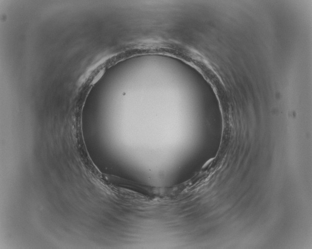 X0000075411304200609291656